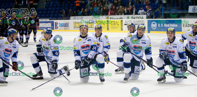 martincania dakuju fanusikom