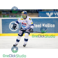 novotny
