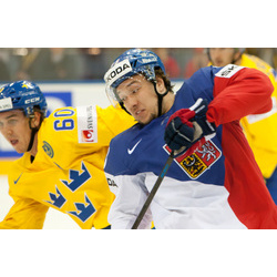 Majstrovstvá sveta 2014 - Švédsko - Česká republika