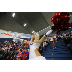 Cheerleaderky na MS v Českej republike