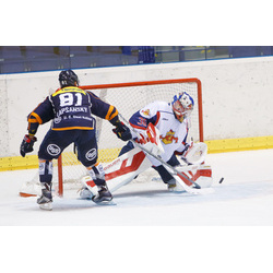 Hokej - sezóna 2015/2016
