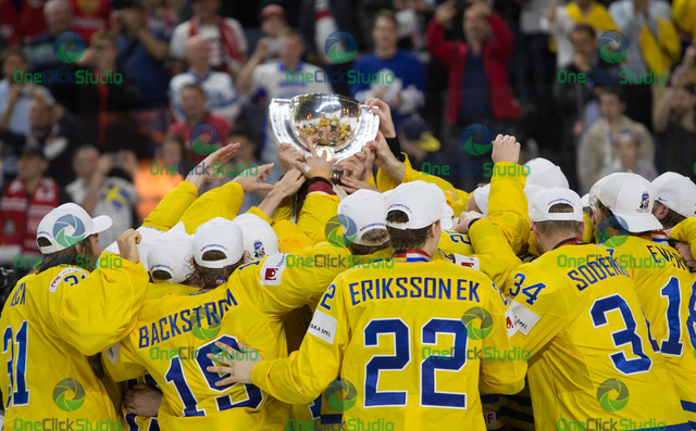 Švédsko - majster sveta 2017
