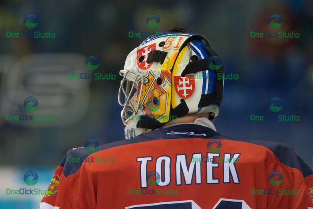 Tomáš Tomek (3)