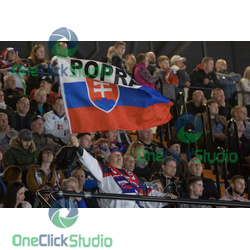 fanúšik Slovenska