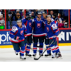 Majstrovstvá sveta 2013 - Slovensko - USA
